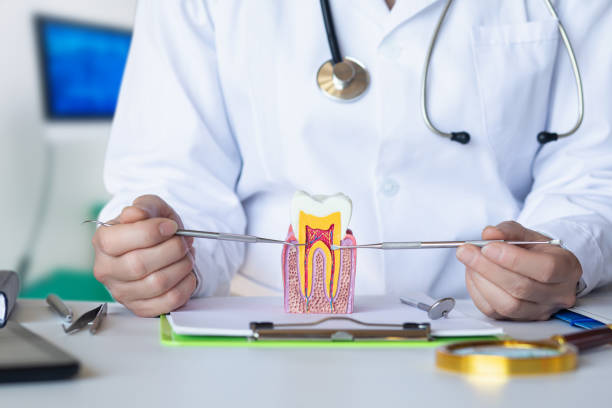 Best Pediatric Emergency Dentist in Hercules, CA
